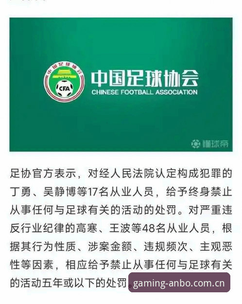 中国足协第三批禁足名单全面解析：行业反腐风暴下的新秩序重构